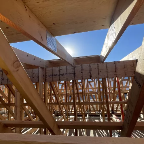 Sunshine and blue sky viewed from between timber framed trusses.
